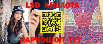 молекула духа Можга