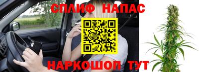 молекула духа Можга