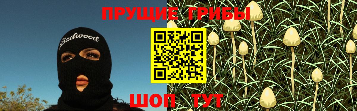 Псилоцибиновые грибы Cubensis Таганрог