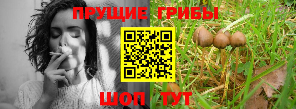 Галлюциногенные грибы мухоморы  Вход с VPN  Таганрог 